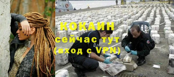 спайс Арсеньев