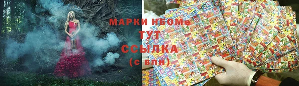 спайс Арсеньев