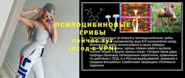 spice Аркадак