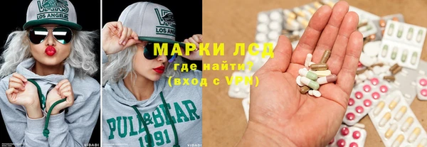 spice Аркадак